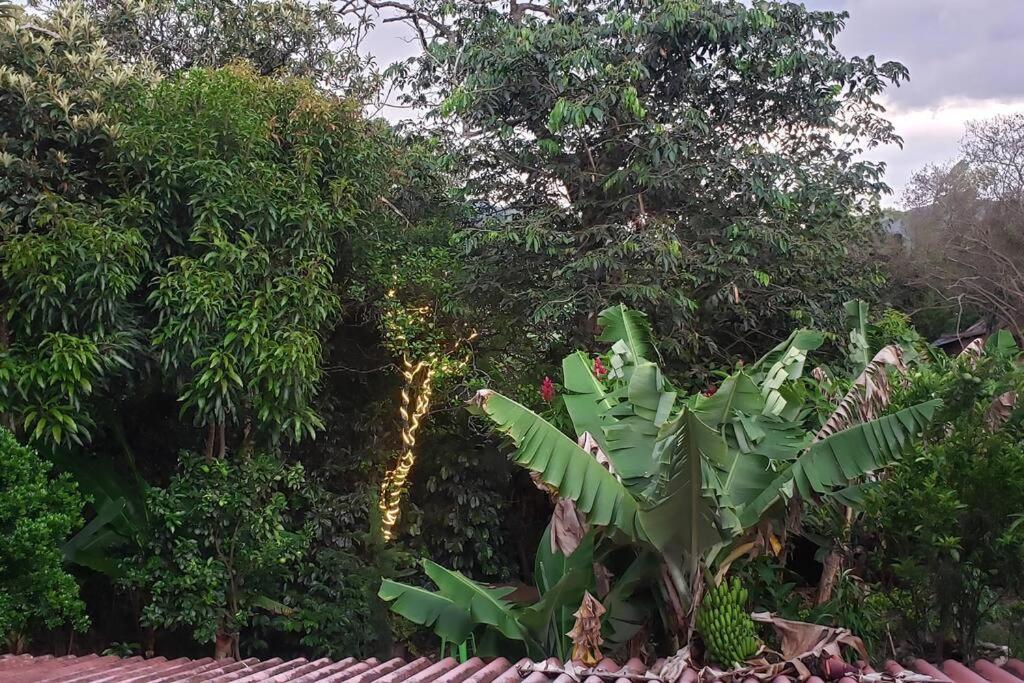 Casa vacacional ideal para familias / Los Reyes photo 1
