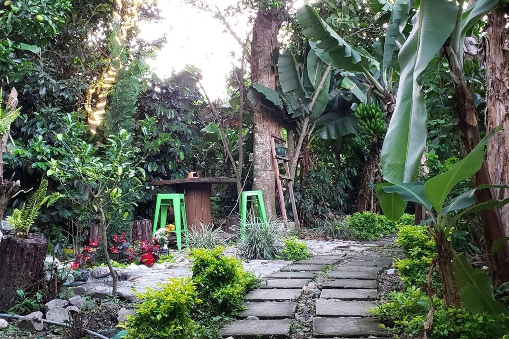 Casa vacacional ideal para familias / Los Reyes photo 2