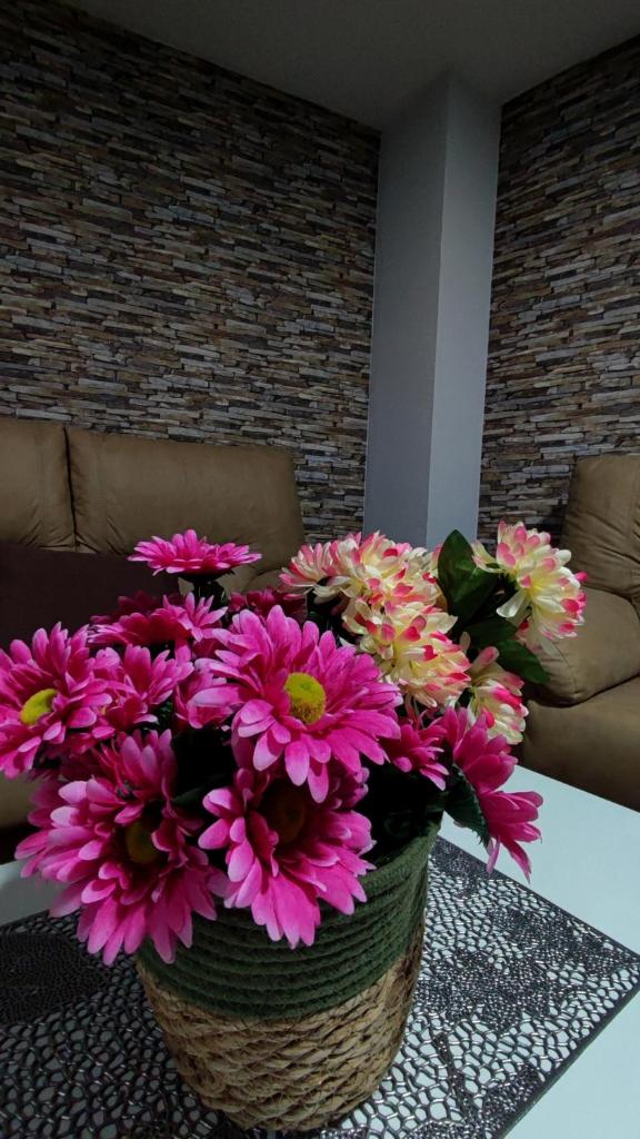VIVIENDA REAL CON ENCANTO photo 3