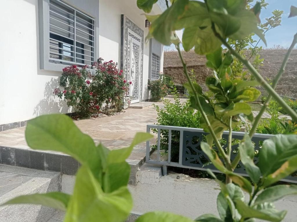 Appartement luxueux à louer à Taounate photo 4