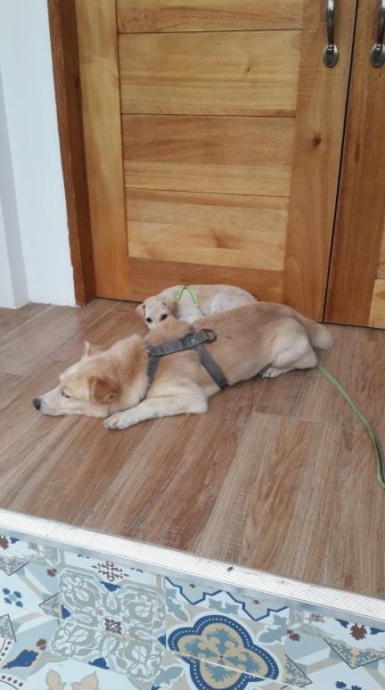 Panie's Relaxing Homestay photo 1