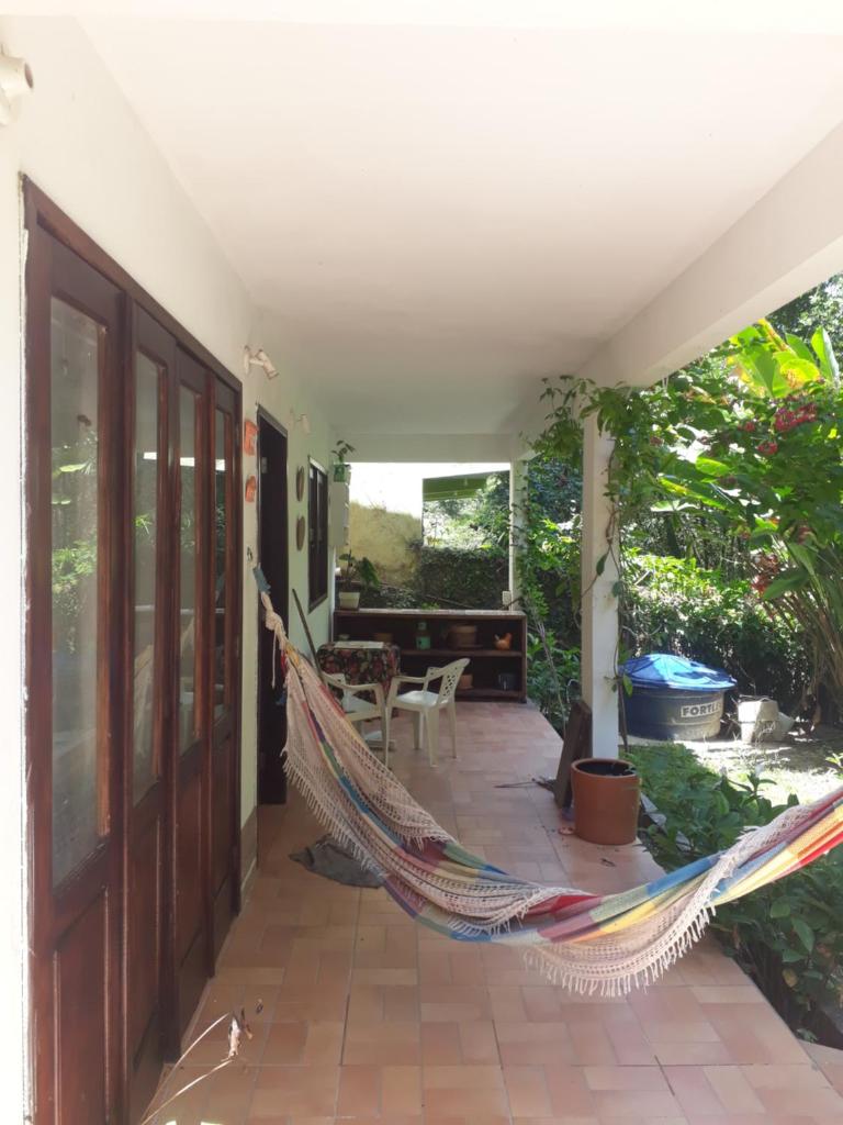 262 photo 2