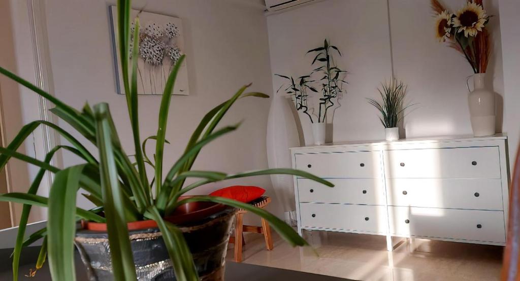 Modern Cityscape Home photo 3