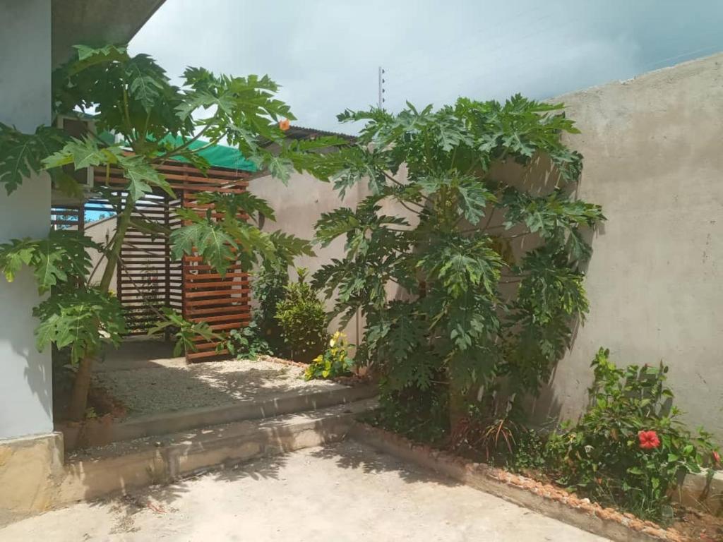 Moderní Apartmány Raka photo 1