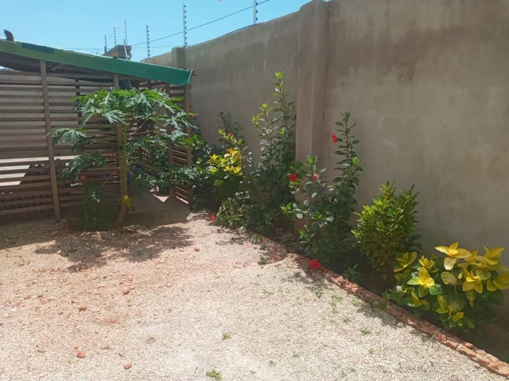 Moderní Apartmány Raka photo 2
