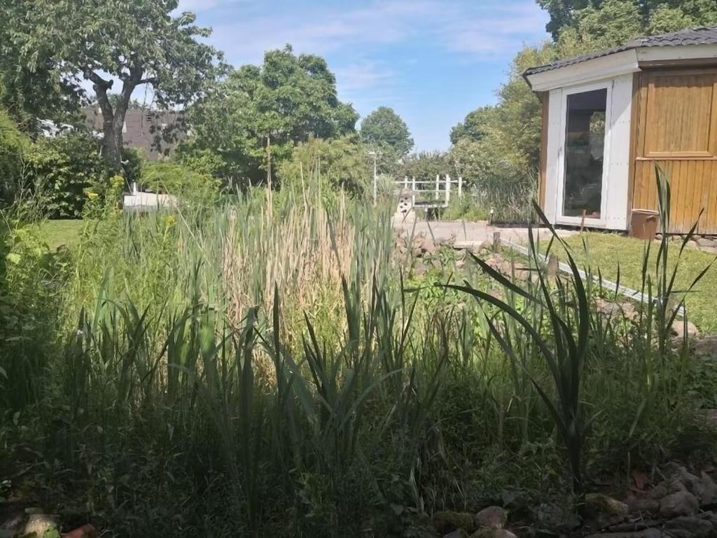 Landhaus Ferien Sommer photo 2