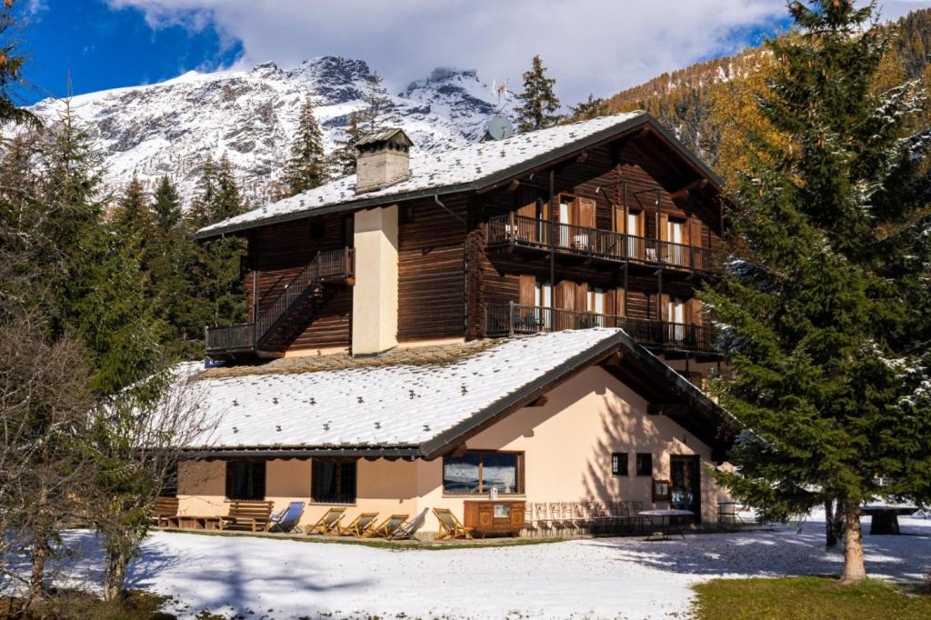 Alpine Forest Hotel photo 1