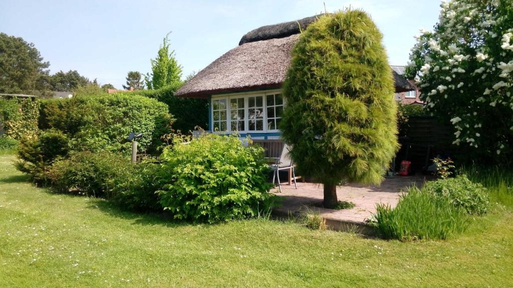 Haus Raketin photo 3