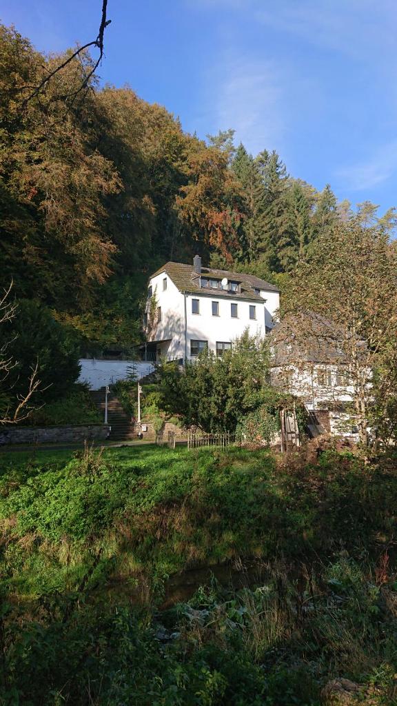 Ferienwohnung Haus Schöneck photo 3