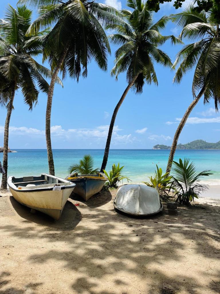 Chalets Bougainville photo 3