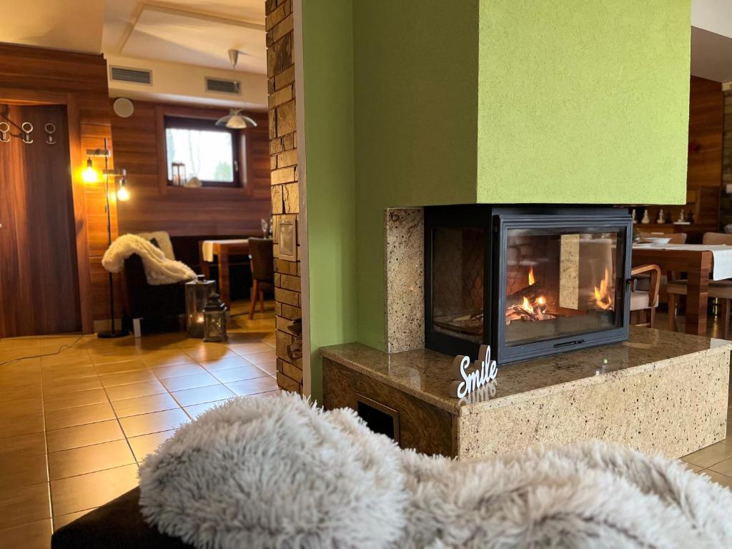 Wellness Villa Liptov photo 4