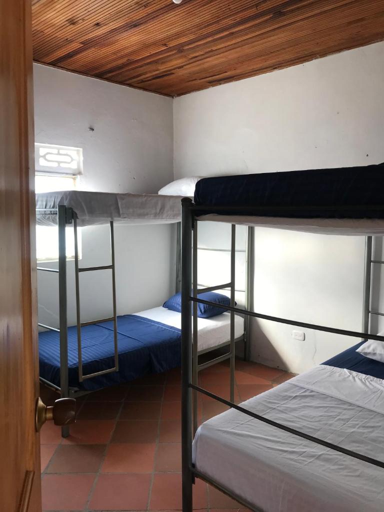 RiverMan Hostel, Tourism and Friends photo 2