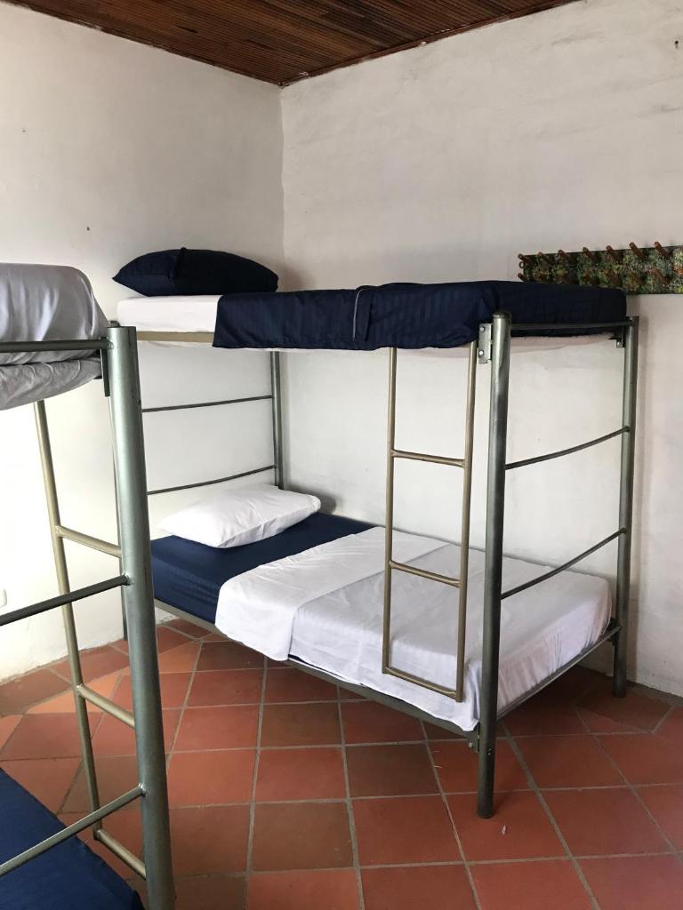 RiverMan Hostel, Tourism and Friends photo 3