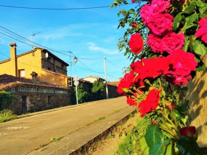 0325 House in Ciudad Rodrigo photo 4
