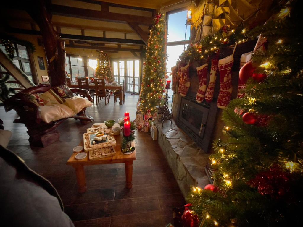 Homestay- Christmas Retreat in Patagonia Chiloe Island, dinner & breakfast included Duhatao - Pumillahue photo 1