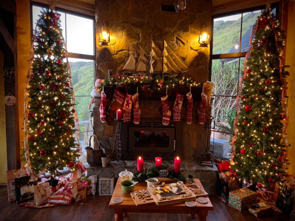 Homestay- Christmas Retreat in Patagonia Chiloe Island, dinner & breakfast included Duhatao - Pumillahue photo 2