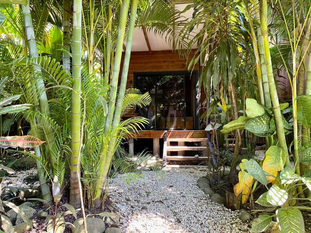 Santeria Lodge photo 1