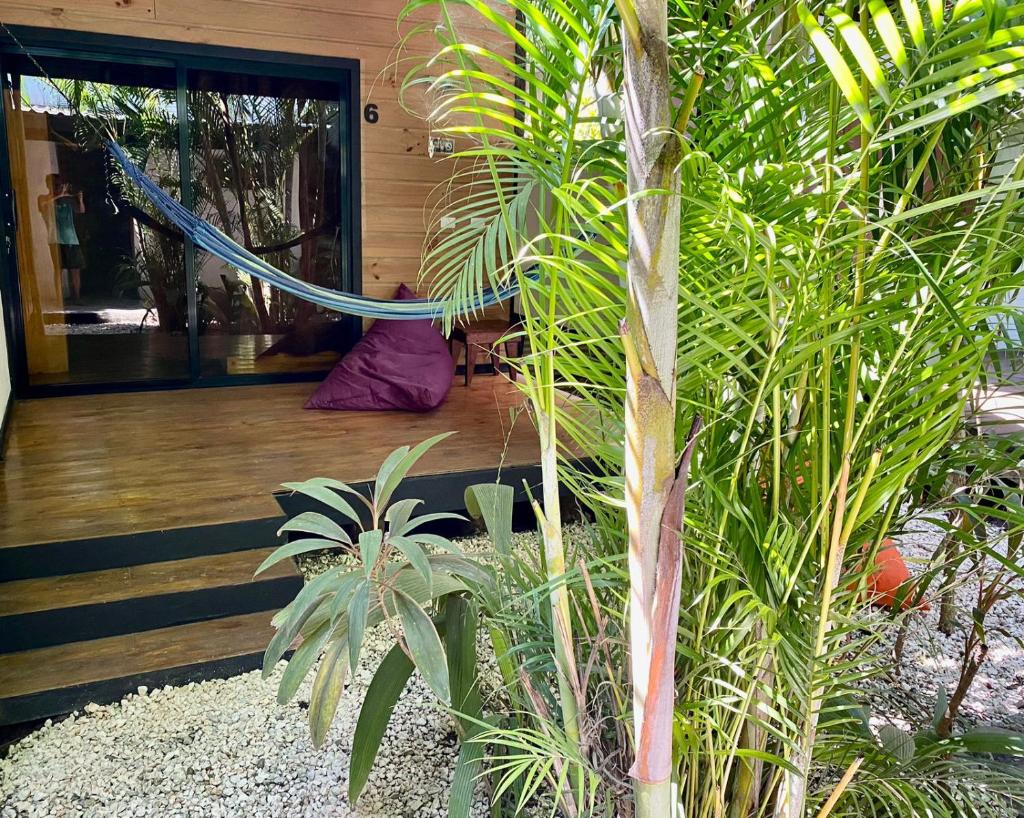 Santeria Lodge photo 2