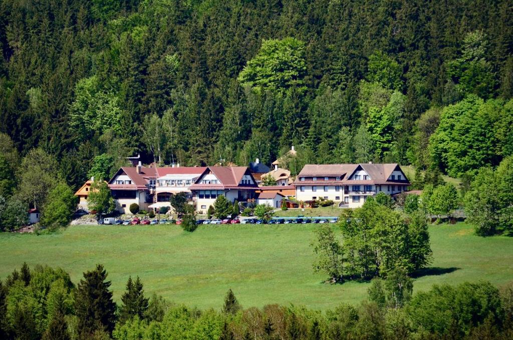 Hotel Podlesí photo 2
