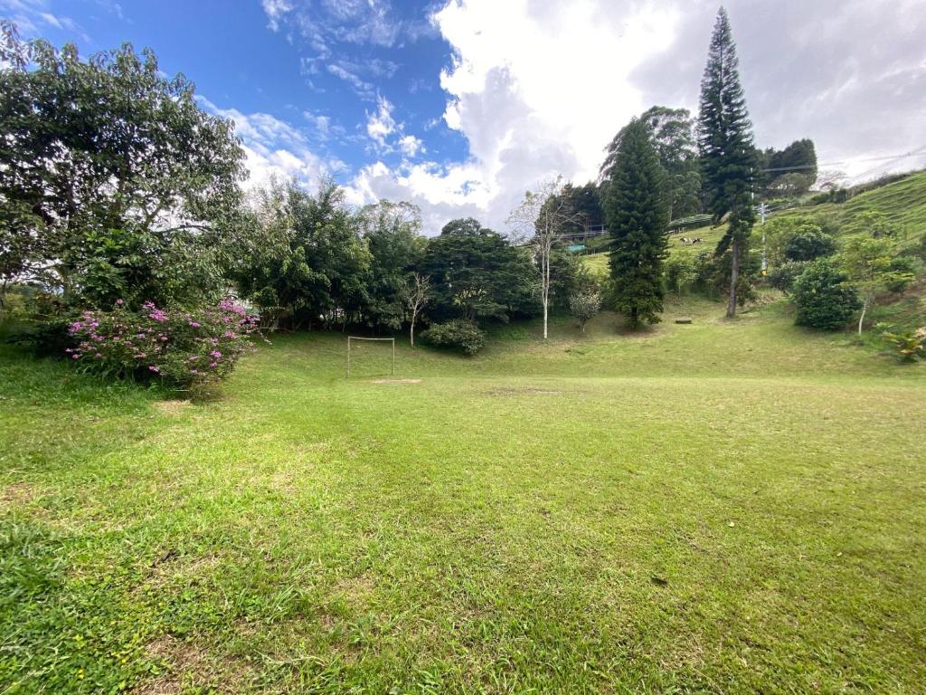 FINCA VERDI photo 3