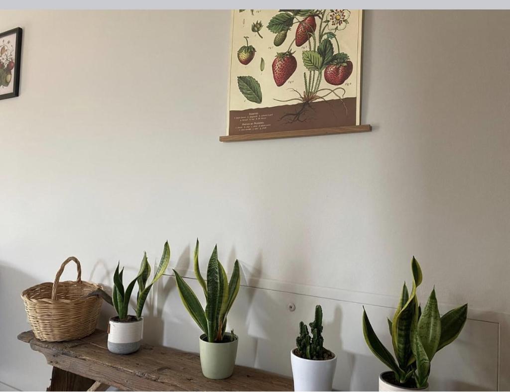 La casa delle fragole photo 1