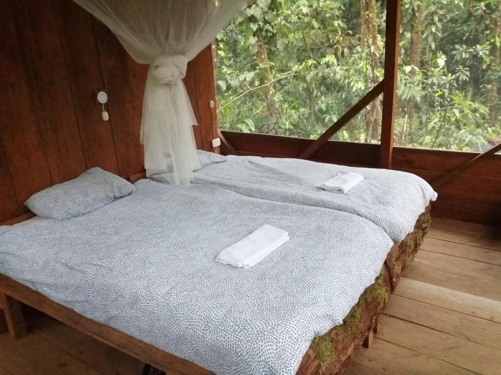 Cabaña Leucopternis - in the middle of Amazon forest photo 1