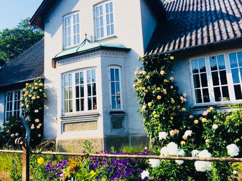 NordsoeHousing-Rørby photo 3