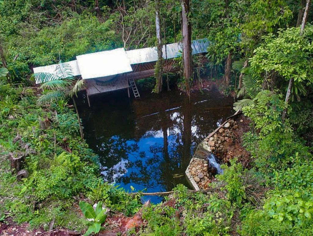 Cabaña Leucopternis - in the middle of Amazon forest photo 3