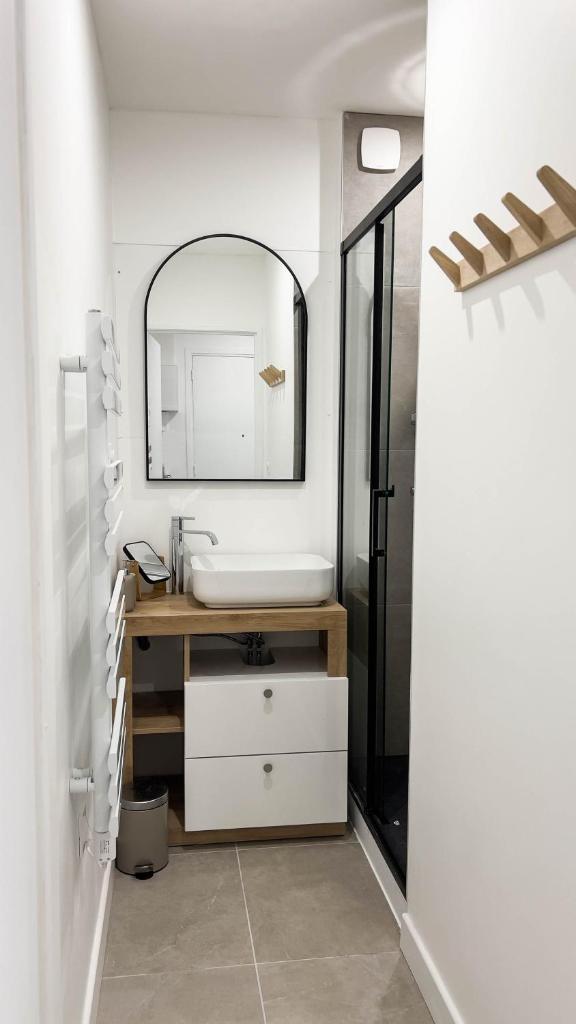 Appartement 4 étoiles en centre ville de Vichy - Le Basile photo 3