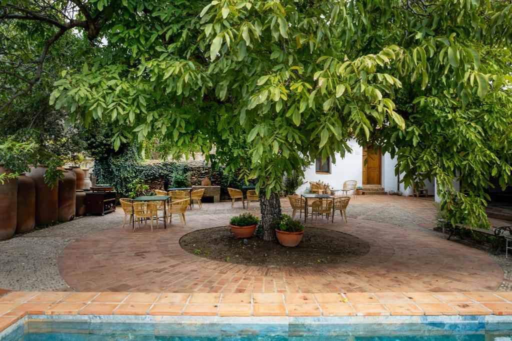 Apartamentos turísticos EL PATIO DEL NOGAL photo 4