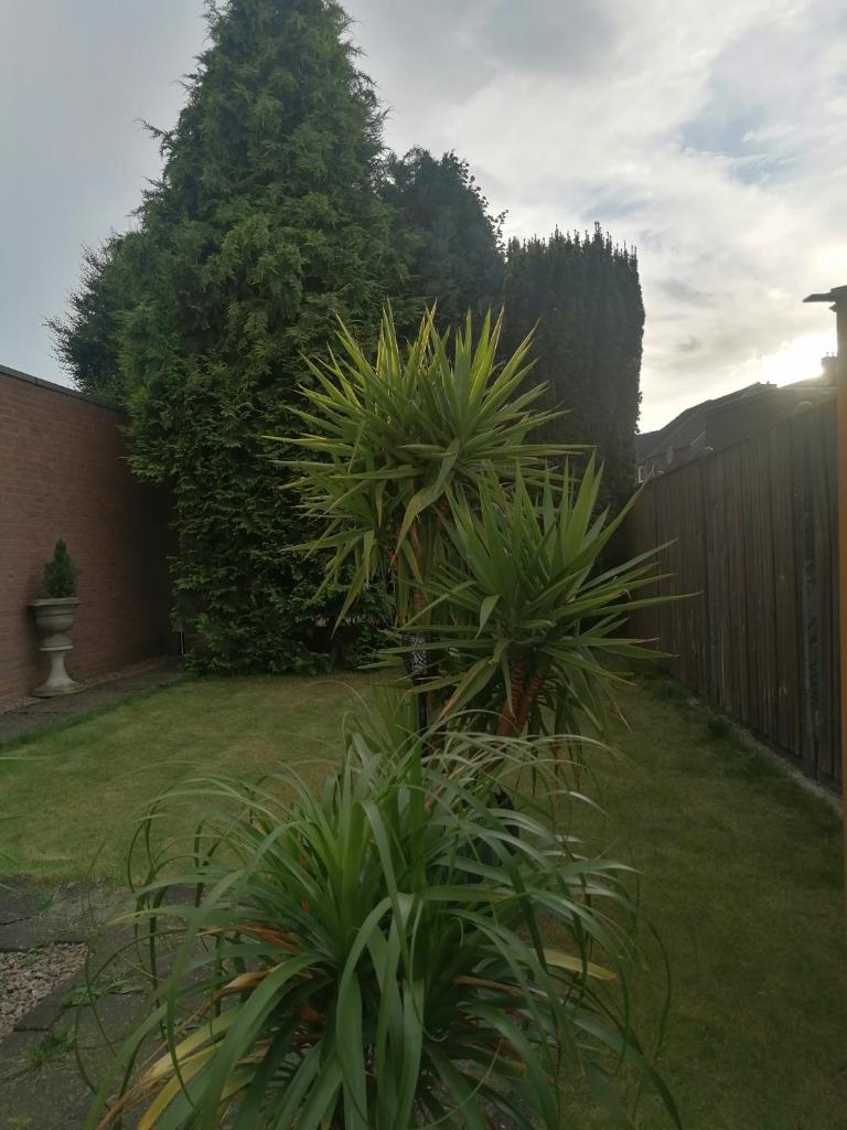 High guests comfort and satisfaction in 2 double bedrooms with private bathroom photo 1