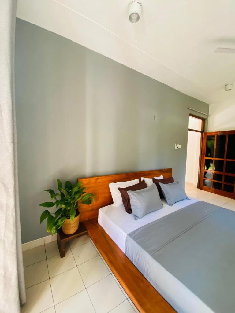 SURF N SPICE - HIRIKETiYA photo 3