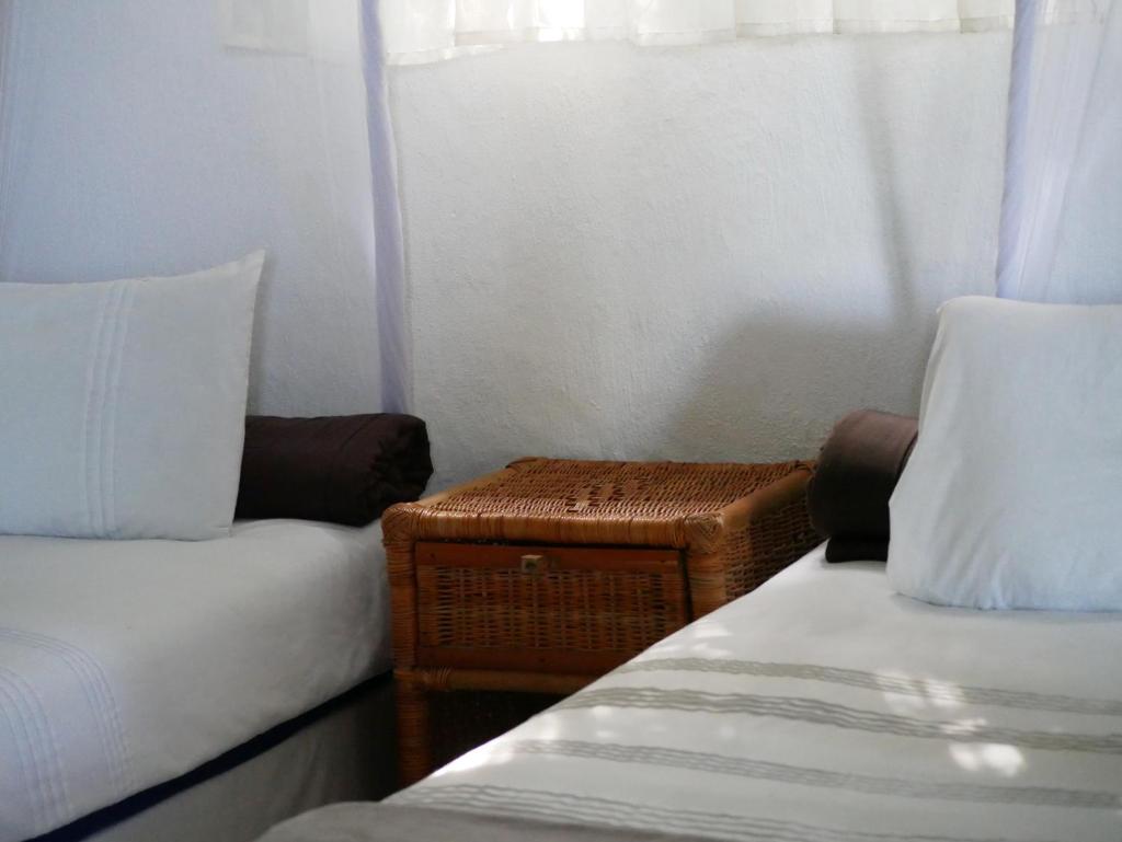 Delicious Monster Accommodation photo 2