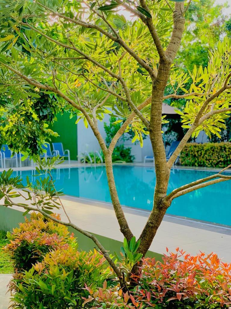 Hotel Ro Kalawewa photo 1