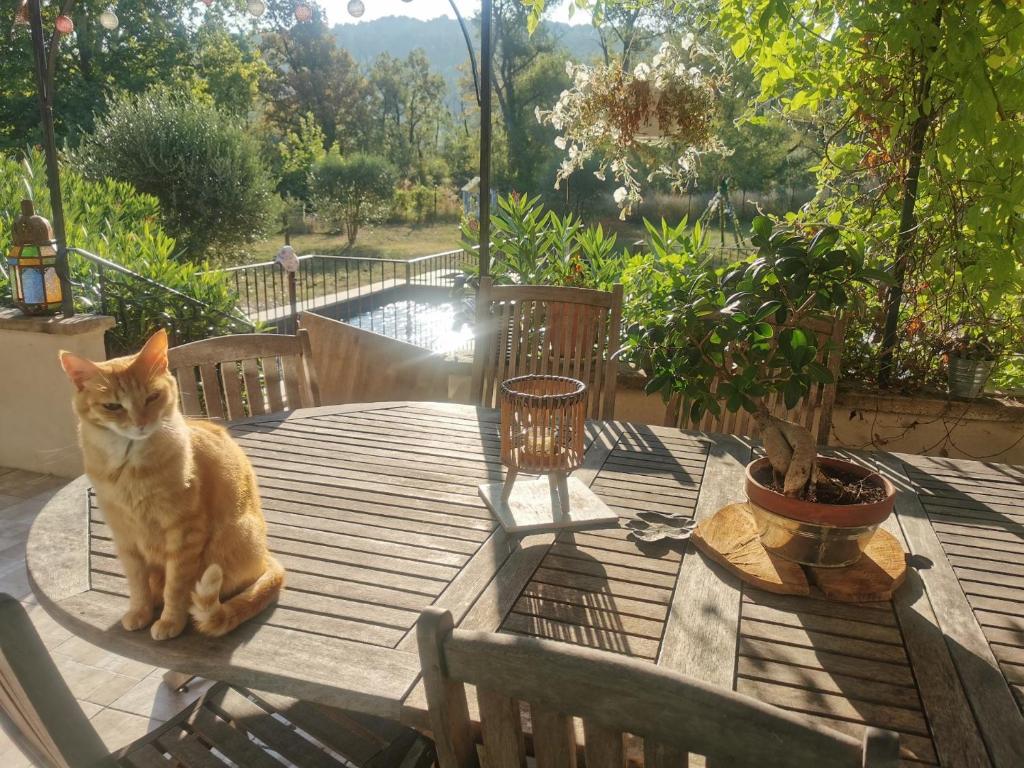 Villa La Ressourcerie a Saignon photo 4