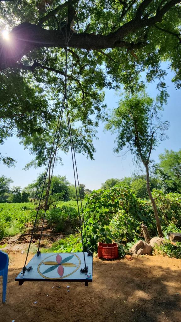 Green Nature View photo 2