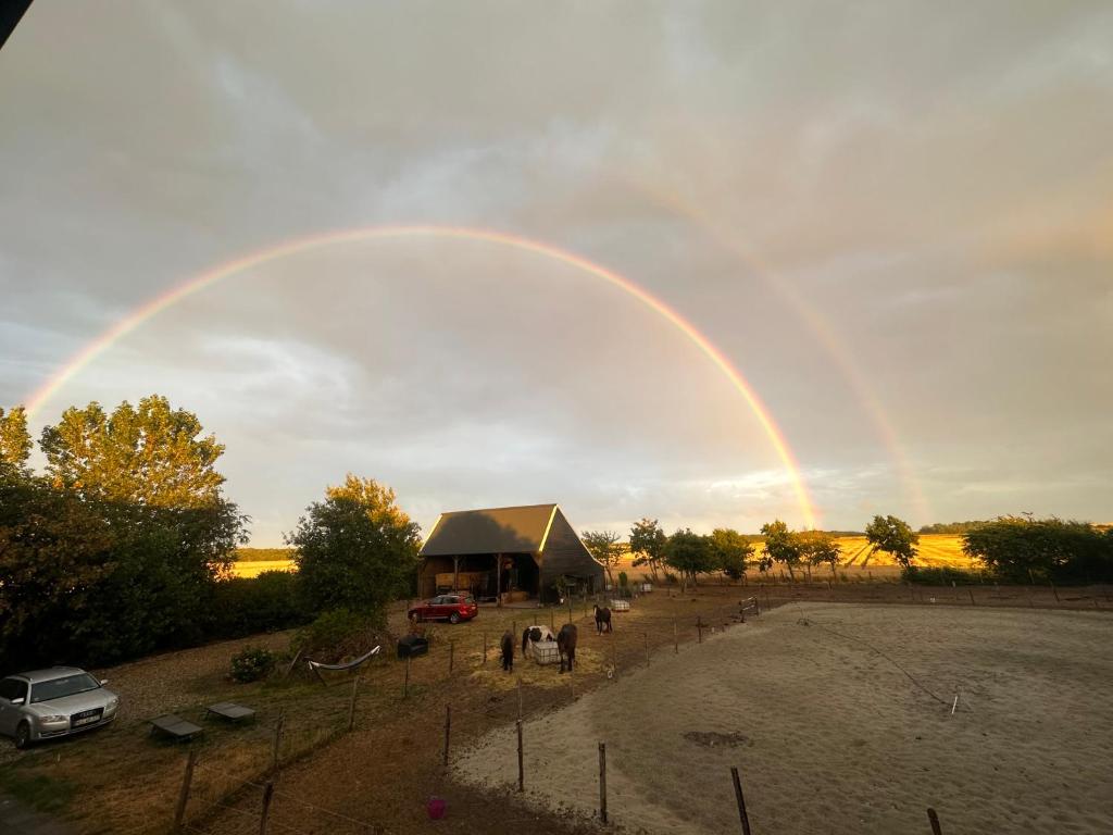 Het Tinkerparadijs, paarden, rust en ruimte. photo 2