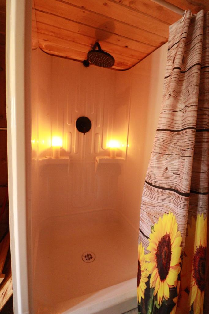 Waterfront Tiny House near Pomquet Beach photo 3