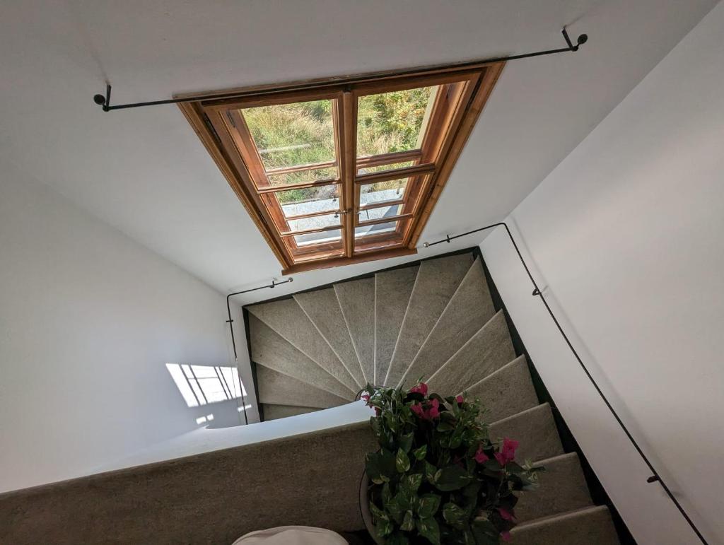 Villa Bochert photo 3