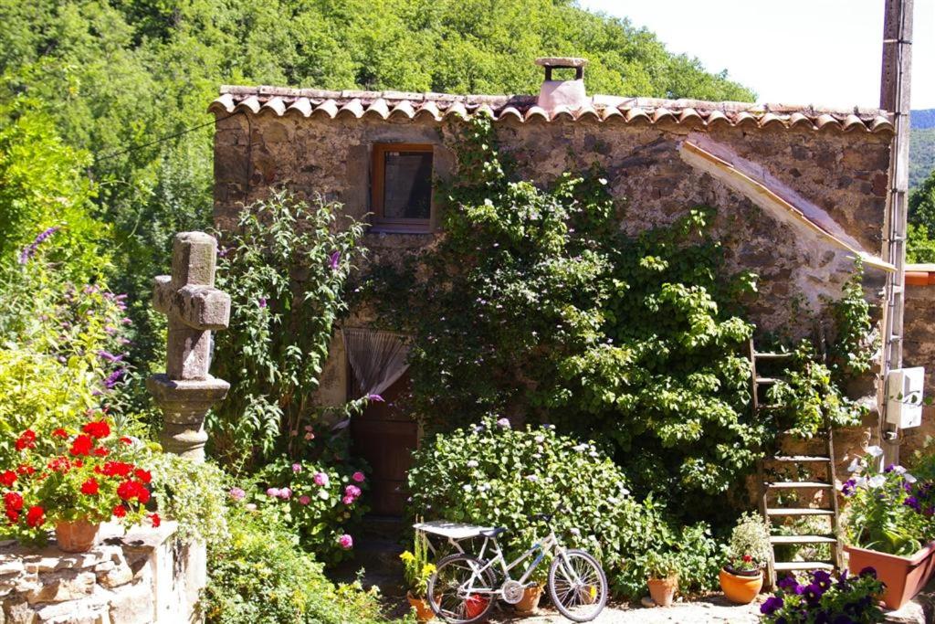 Petit gîte écolo Avène, proche Nature et Lerab Ling IL FAUT lire les Extras sous la rubrique VOTRE HOTE avec photo