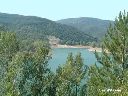 Petit gîte écolo Avène, proche Nature et Lerab Ling IL FAUT lire les Extras sous la rubrique VOTRE HOTE avec photo photo 1