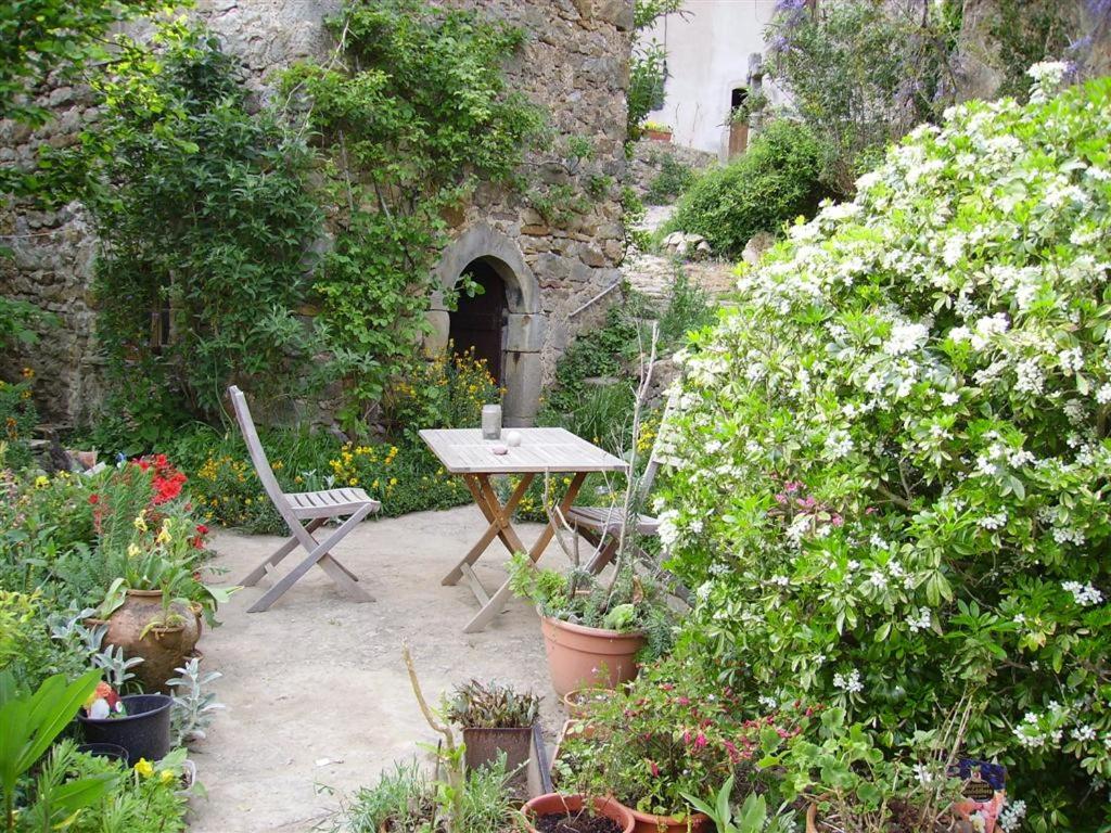 Petit gîte écolo Avène, proche Nature et Lerab Ling IL FAUT lire les Extras sous la rubrique VOTRE HOTE avec photo photo 2