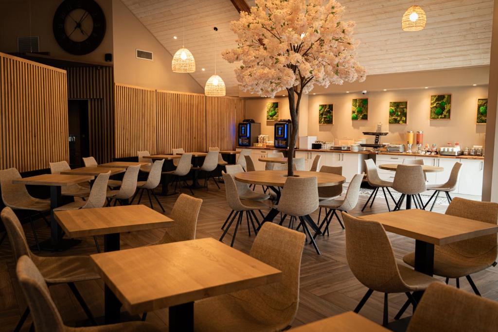 Logis Clermotel - Hôtel & Restaurant photo 3