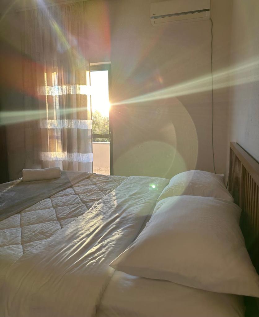 Hostel Rinas photo 3