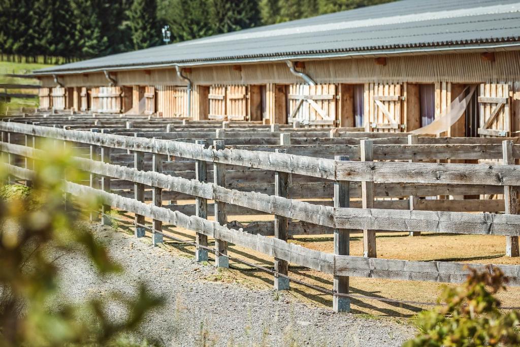 Ranchhouse Bubble - Westernstable - Horse photo 3
