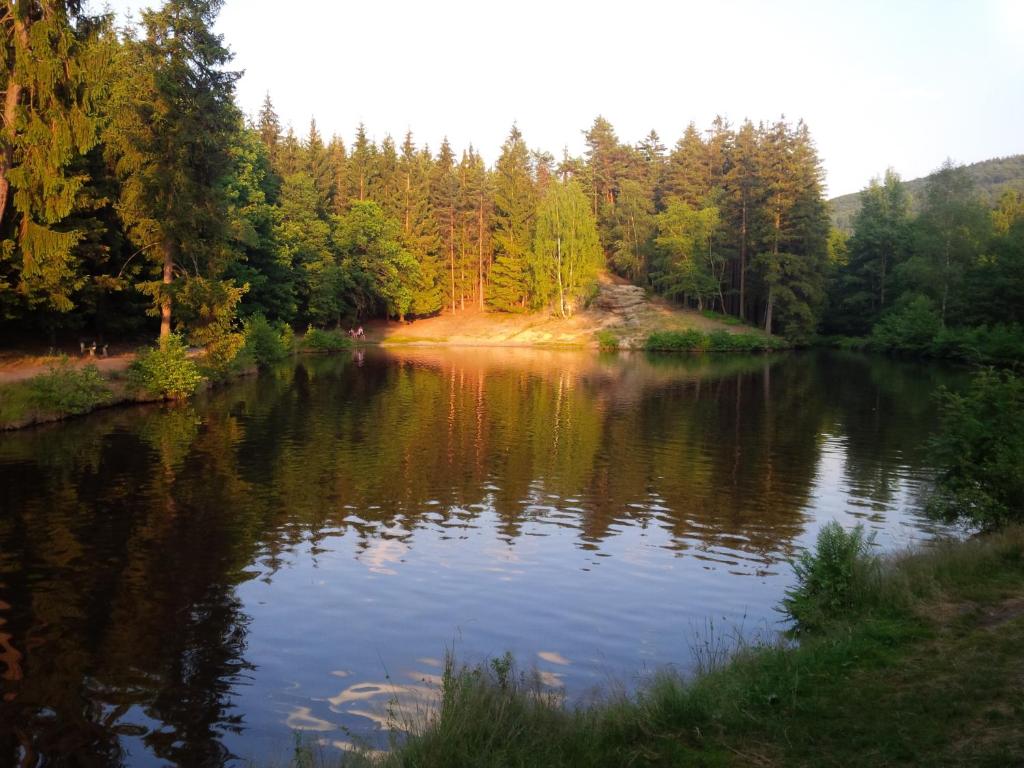 Lesní chaty "Hogo Fogo"