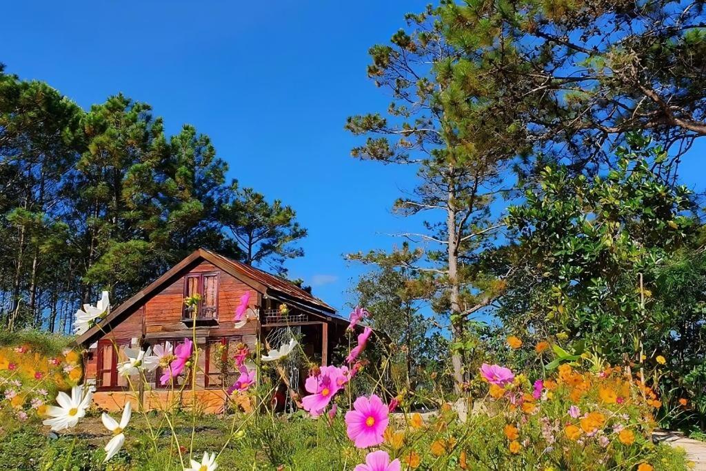 Romantic house on a pine hill 2