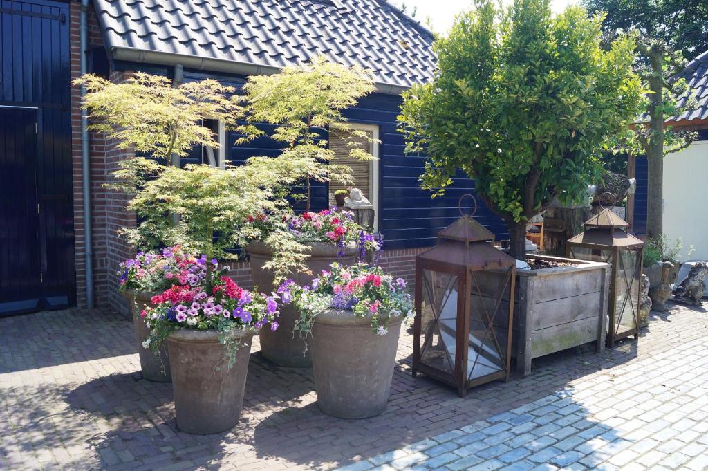 Eersel's Groen photo 2