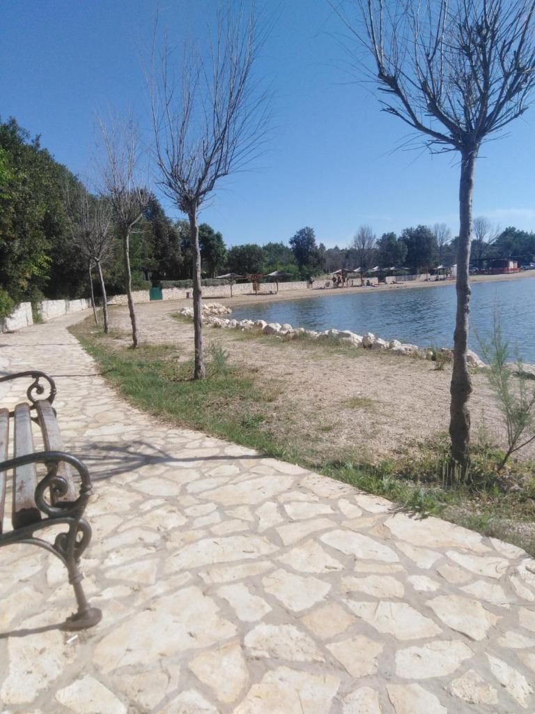 Apartment in Zaton (Zadar) with Air conditioning, WIFI, Washing machine (4830-3) photo 2