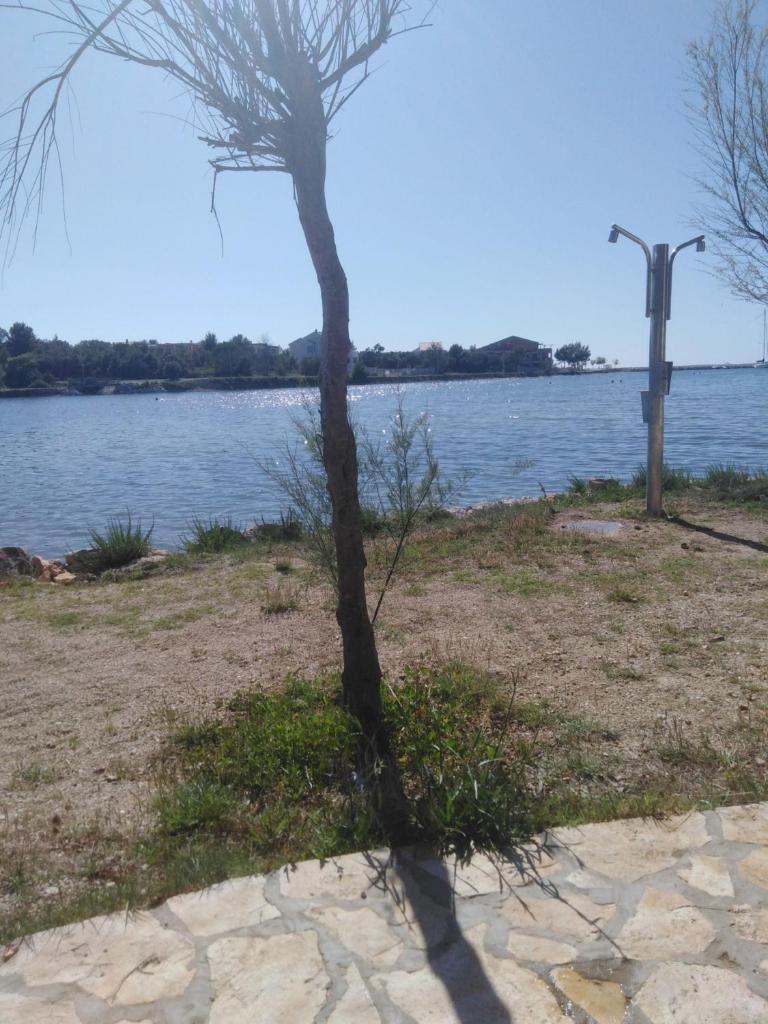 Apartment in Zaton (Zadar) with Air conditioning, WIFI, Washing machine (4830-3) photo 3